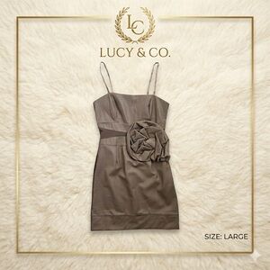 LUCY & CO. Women’s Sheath Dress Vegan Leather Mini Strapless Rosette Taupe L NWT
